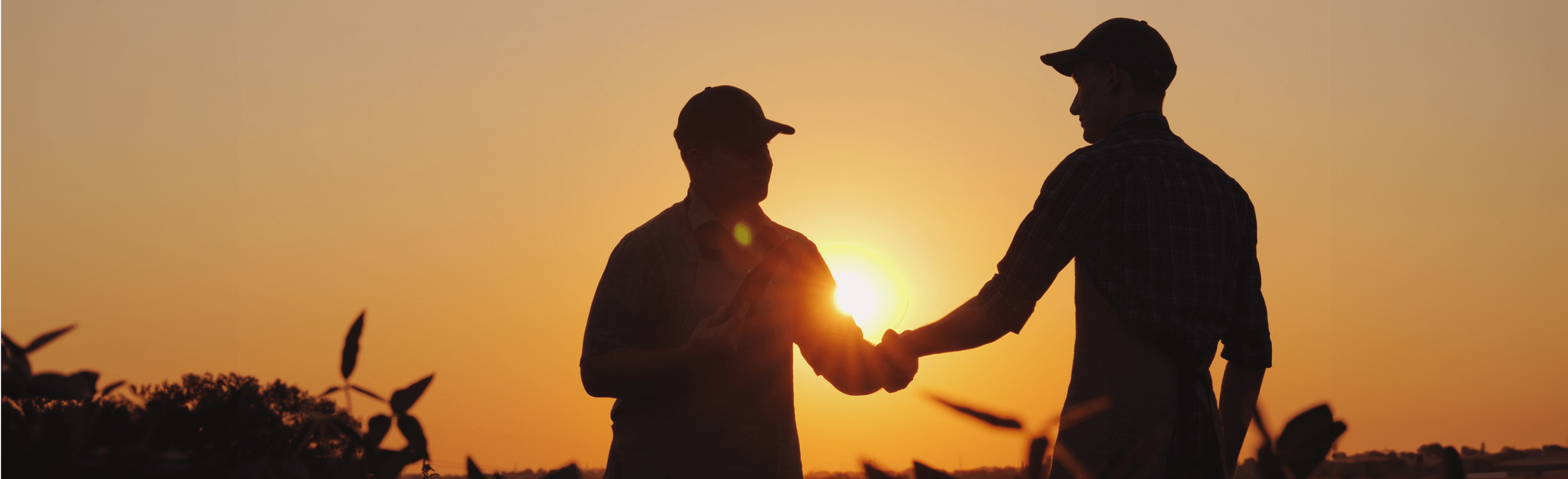 Two male farmers shake hands in a field. The photo is backlit by a bright sunset, so the farmers are visible as black shapes.